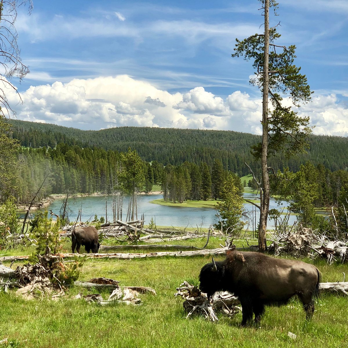 adventure tour bozeman