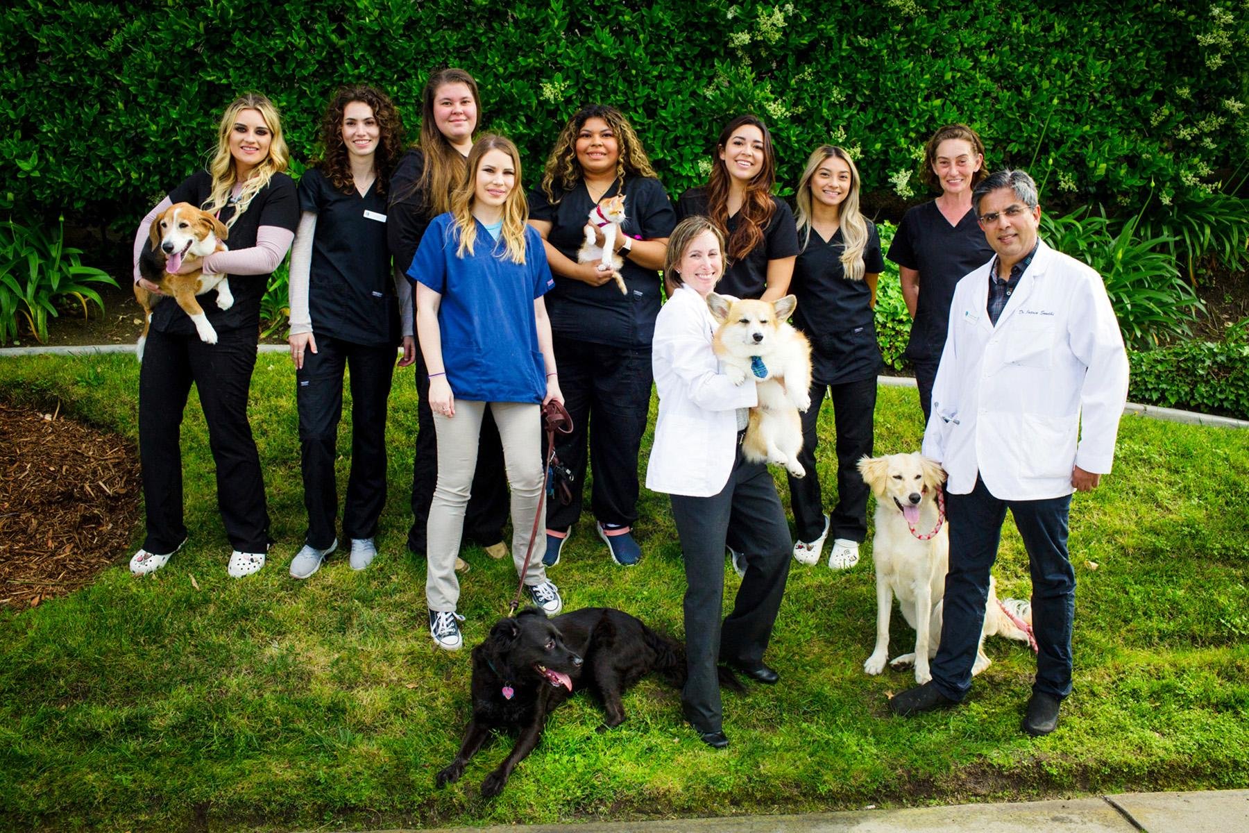 West bernardo sale animal hospital