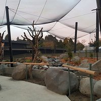 Walk thru aviary with 4 tuatara but they only come out when it's sunny.