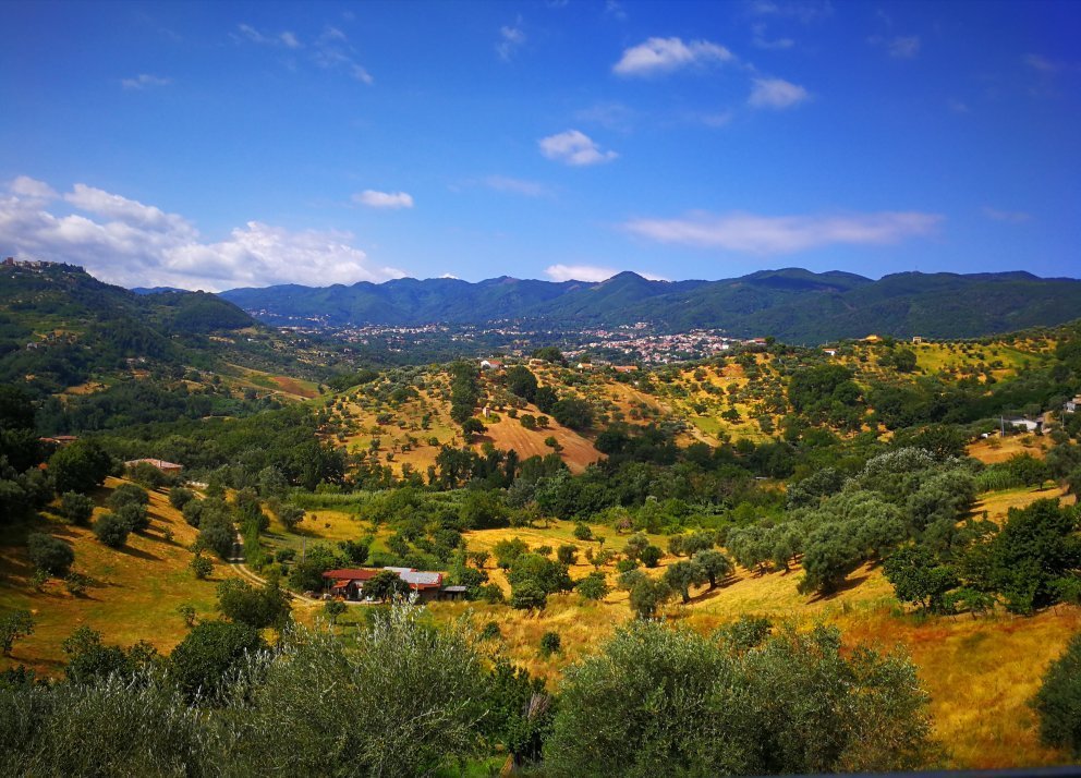 B&B LA TERRAZZA DI FINUZZO (Rende, Italia) - Opiniones Y Comentarios ...