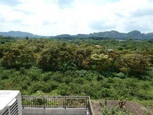 客房景觀