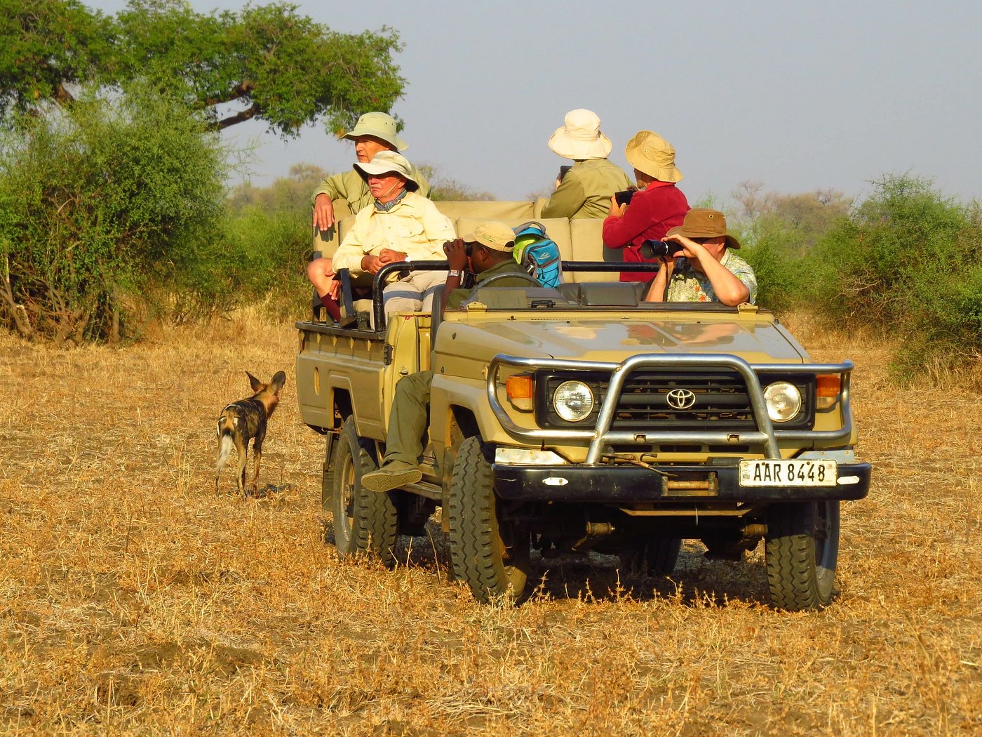 zikomo safari camp south luangwa