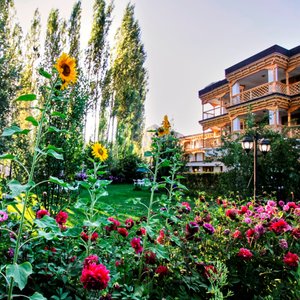 Garden view