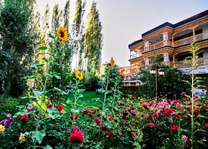 Hotel Caravan Centre in Leh, image may contain: Garden, Nature, Neighborhood, City