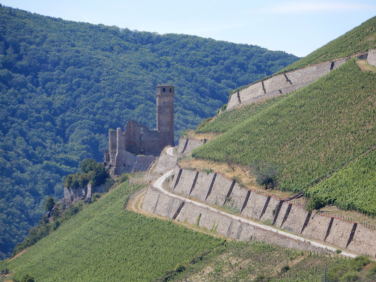 rhine river tours bingen am rhein