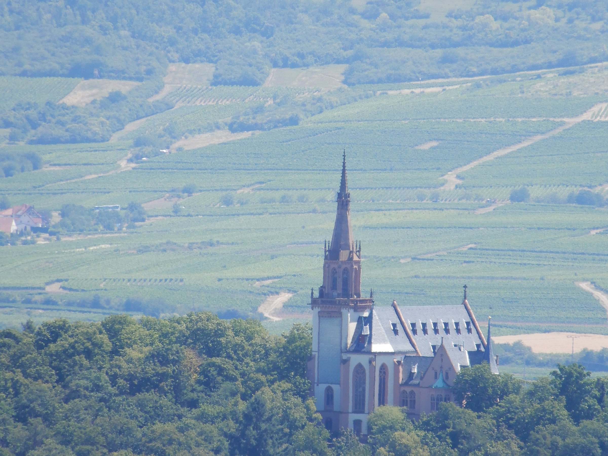 rhine river tours bingen am rhein