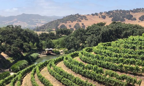Private Vineyard