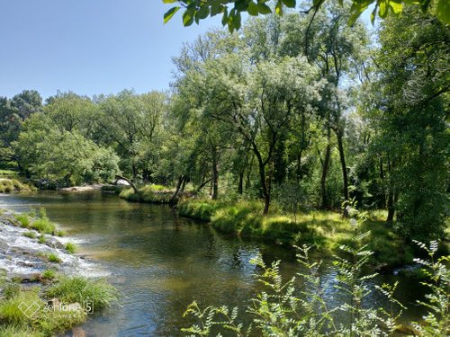 BIODIVERSIDADE EM ESPAÇOS NATURAIS de Viana do Castelo by CENTRO