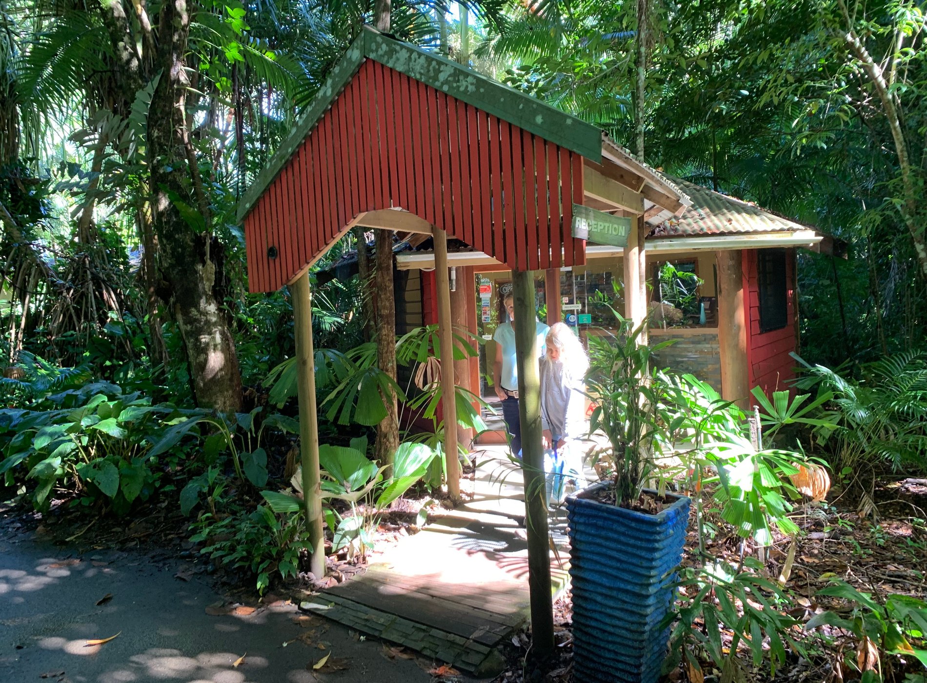 Daintree Rainforest Retreat by null