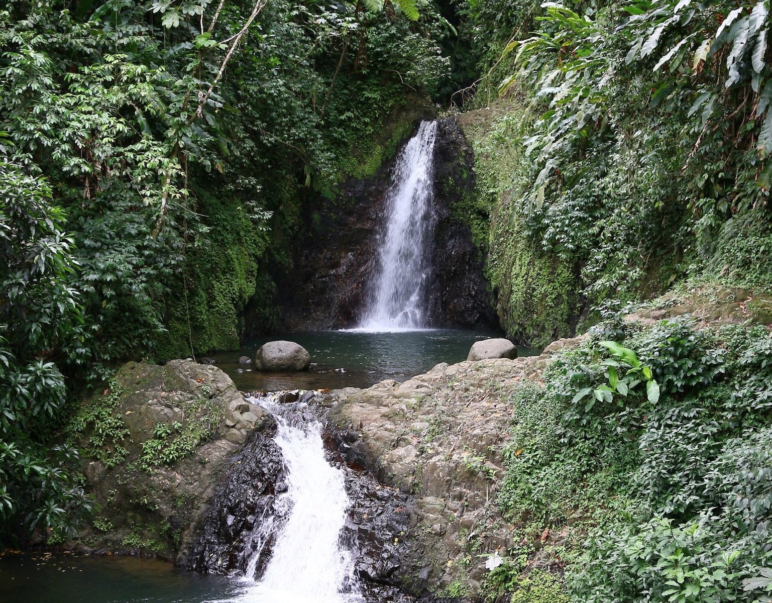 Grenada Highwire (Grand Etang National Park) - All You Need to Know ...