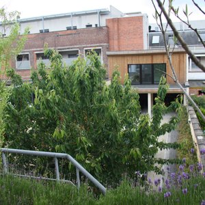 Blick auf den Parkplatz im Garten 