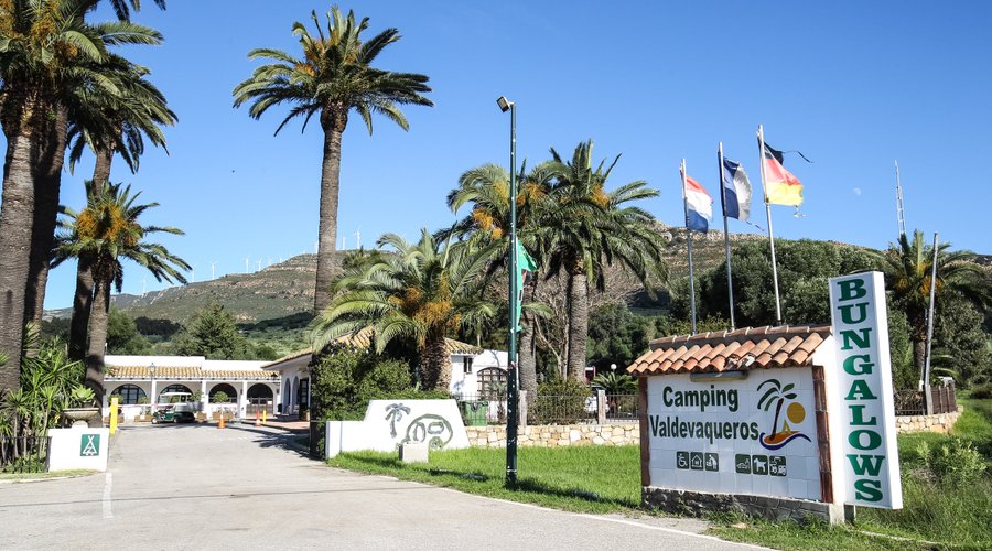 Nuestra entrada