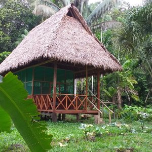 Tambopata Wild