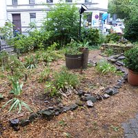 Garten vor der Kirche