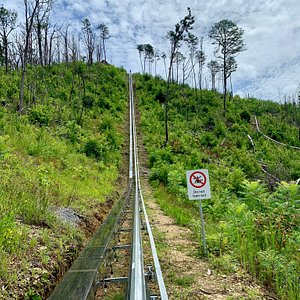 Moonshine Mountain Coaster - All You Need to Know BEFORE You Go (with  Photos)