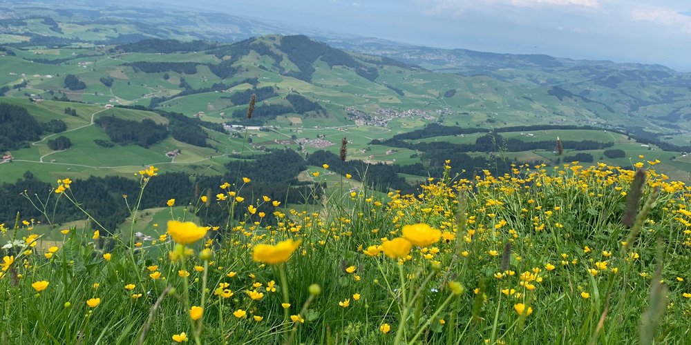 Appenzell, Schweiz Tourismus in Appenzell Tripadvisor