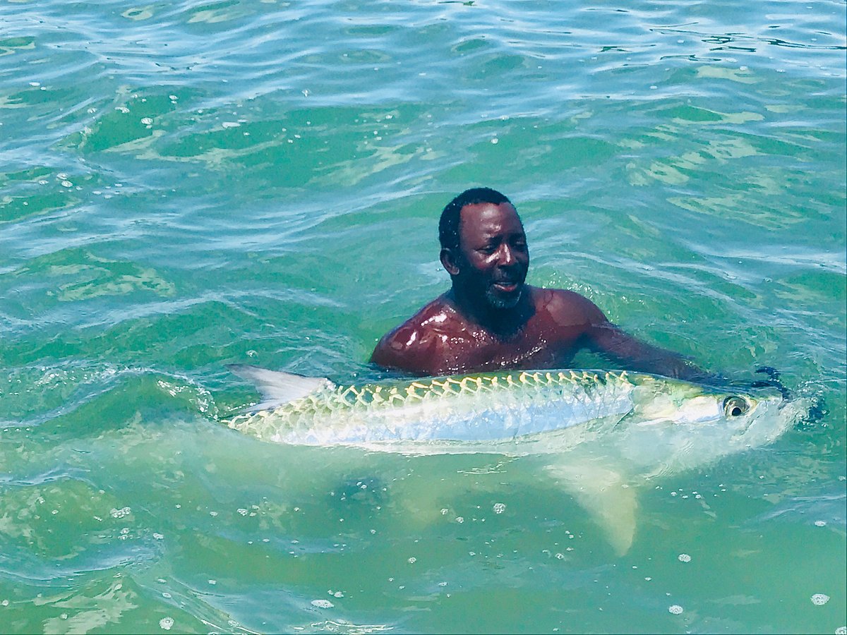 Jack Crevalle fishing at Belize River Lodge - Picture of Belize River  Lodge, Ladyville - Tripadvisor