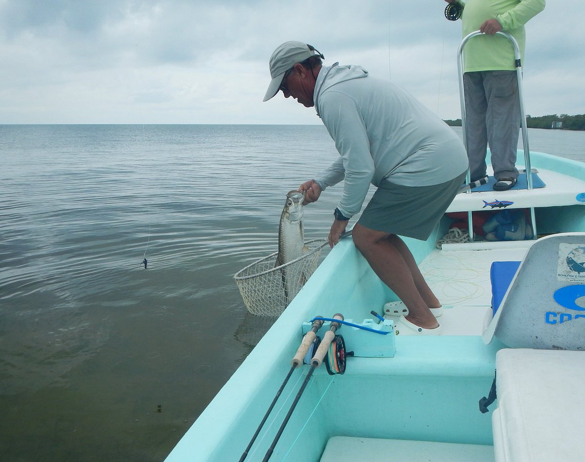 Jack Crevalle fishing at Belize River Lodge - Picture of Belize River  Lodge, Ladyville - Tripadvisor