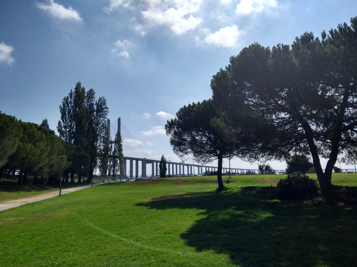 Parque Tejo