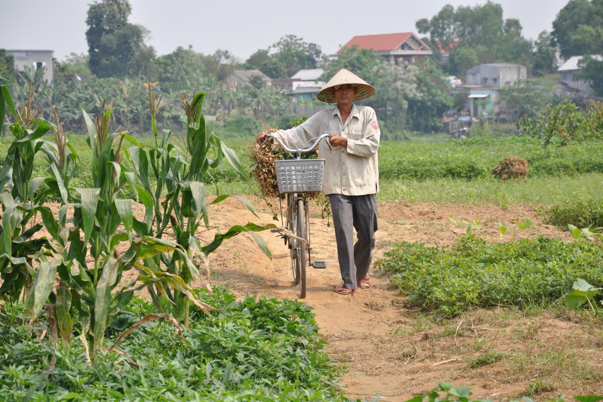 Daithanh Hue Tour (Vietnam): Address, Phone Number - Tripadvisor