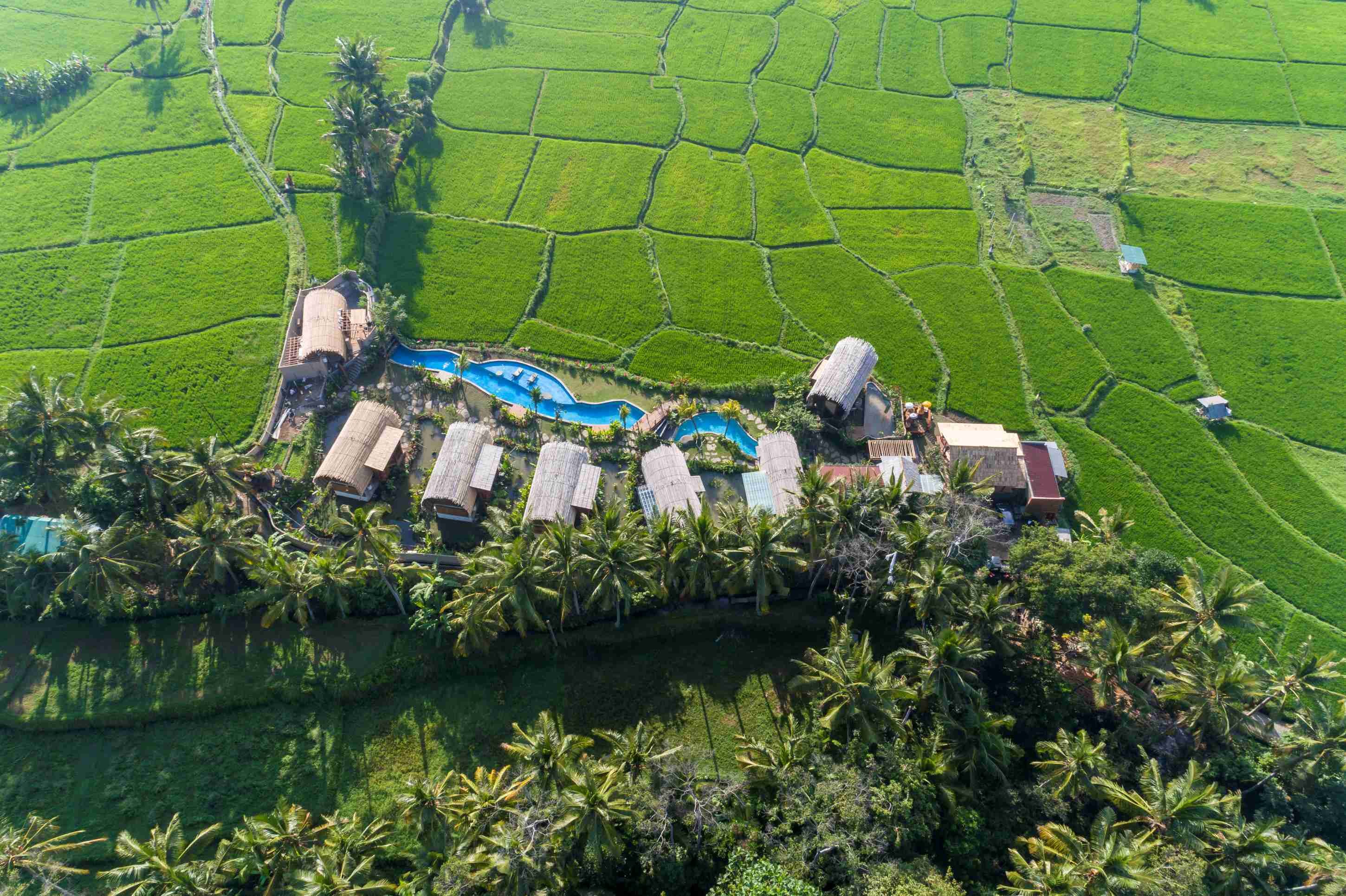 BEEHOUSE DIJIWA UBUD