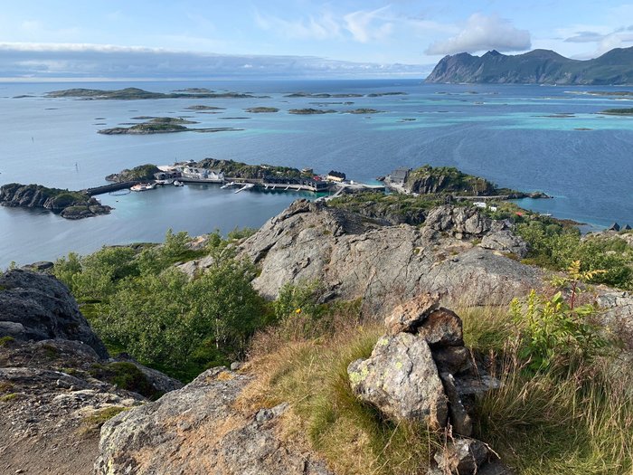 Hamn I Senja North Norway Restaurant: Pictures & Reviews - Tripadvisor