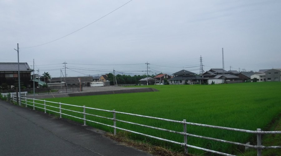 若王寺