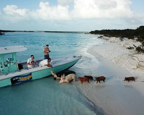 long island bahamas tourism