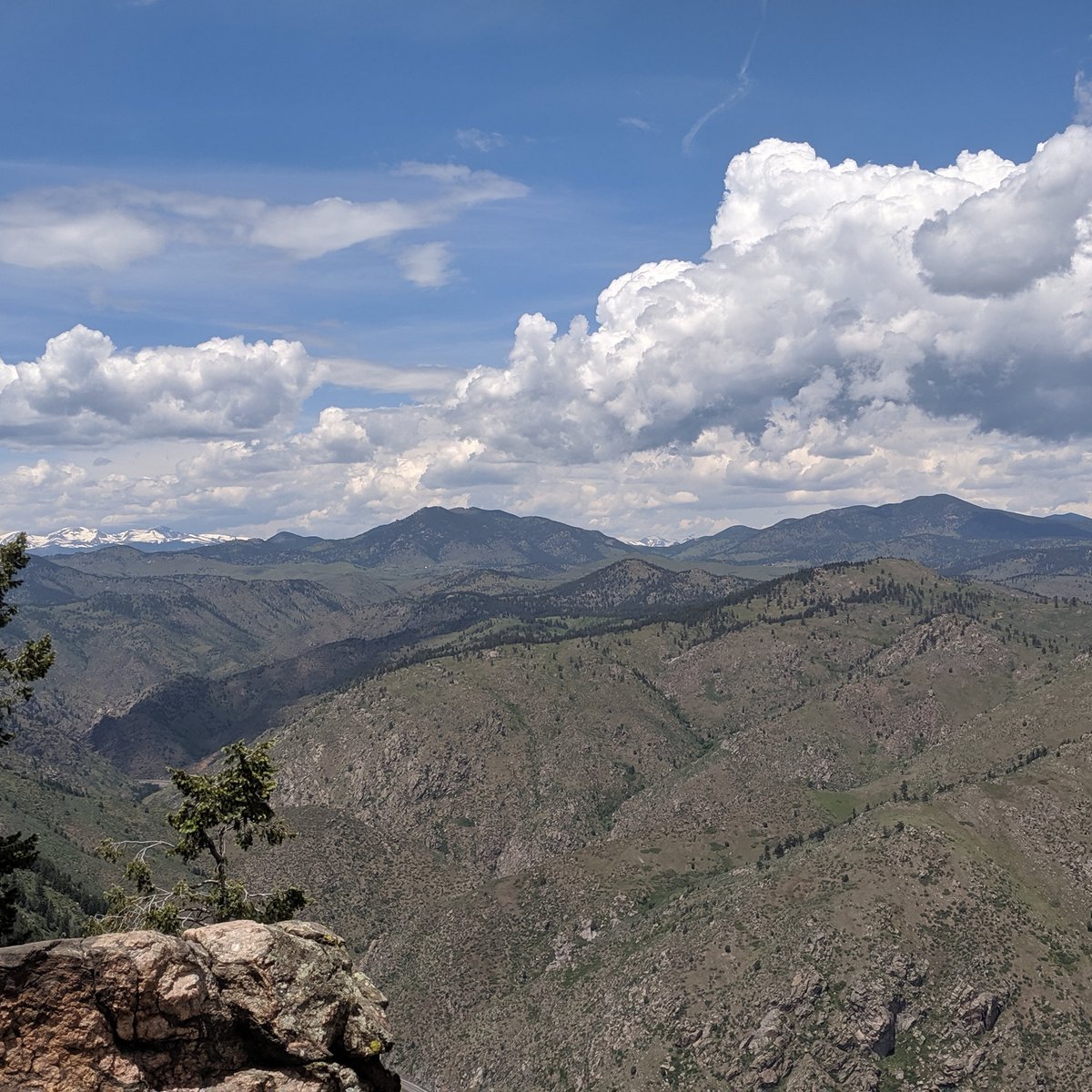 Lookout Mountain Nature Center - All You Need to Know BEFORE You Go (2024)