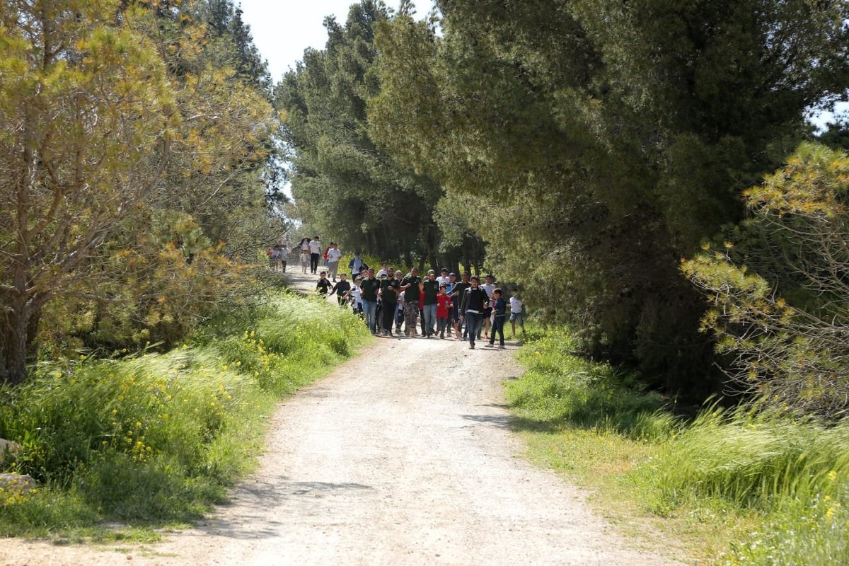 The Forest Park (Amman, Jordan) - anmeldelser - Tripadvisor