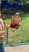 Loroventura (Monterrey) - 2023 Lo que se debe saber antes de viajar -  Tripadvisor