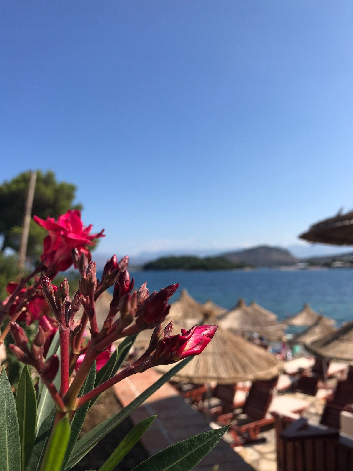 Ohana Beach Bar (Ksamil) - Lo que se debe saber antes de viajar -  Tripadvisor