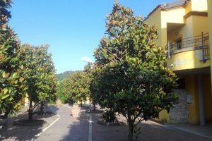 Camera e suite