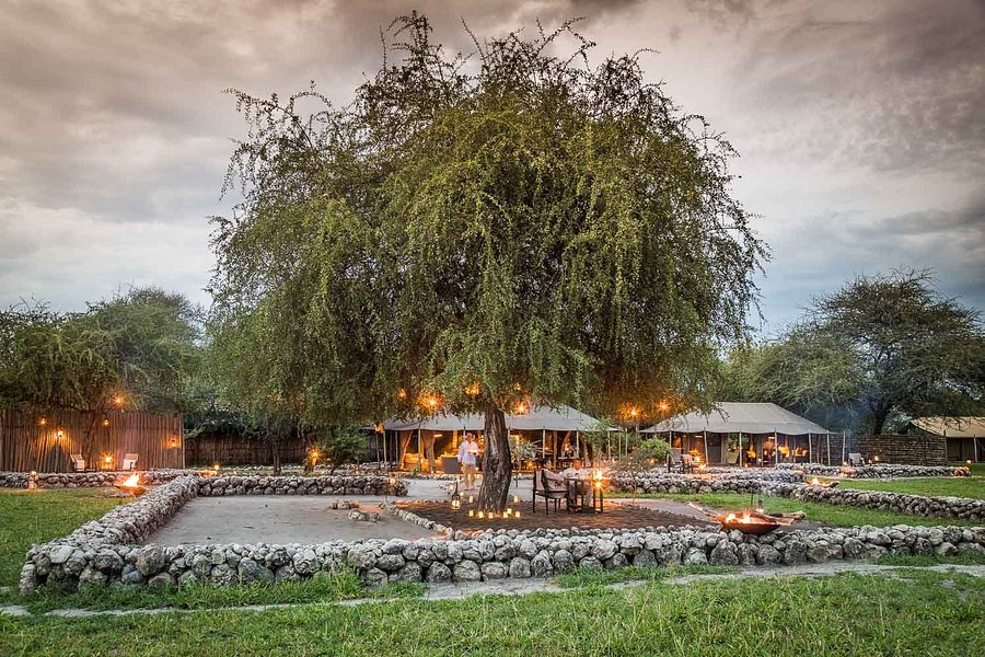 Little Chem Chem Prices Lodge Reviews Tarangire National Park Tanzania Tripadvisor