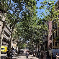 Passeig del Born (Barcelona) - All You Need to Know BEFORE You Go