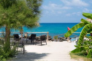 Pool & Beach