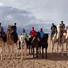 Ouarzazate horseback riding