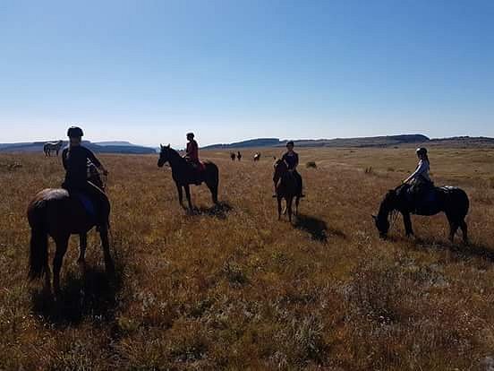 Kaapsehoop Horse Trails Volunteer Project image