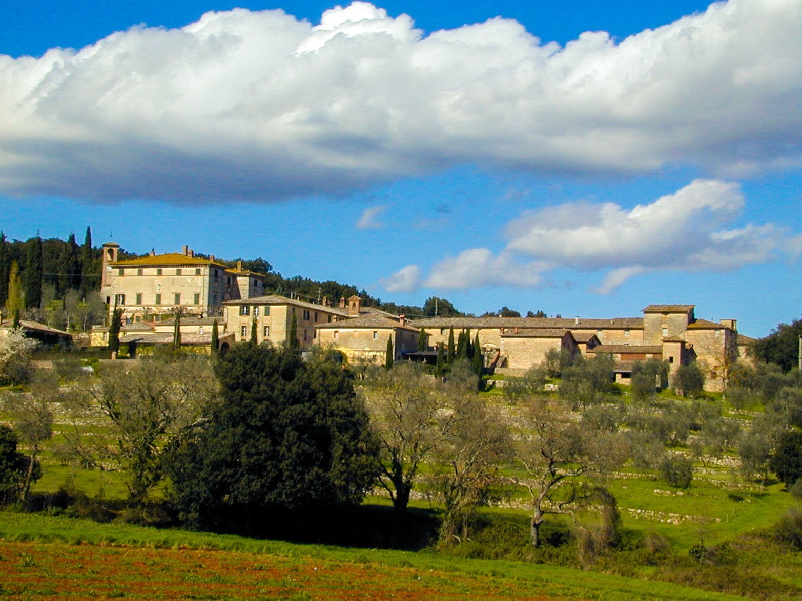 Villa Cetinale, province of Siena by null