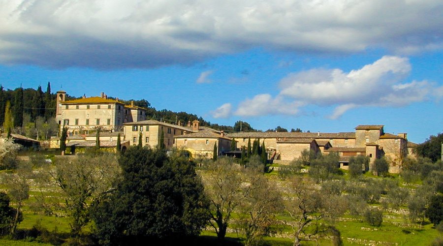 Vista de "il pero di Cetinale"