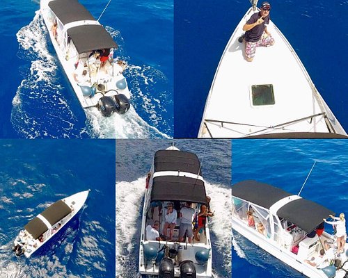 bateau sans permis insubmersible - Photo de Alizes Adventure, Île de  Basse-terre - Tripadvisor