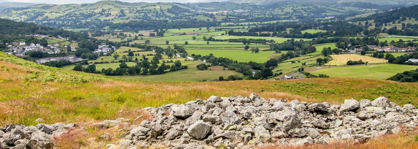 Looking towards the centre of the site