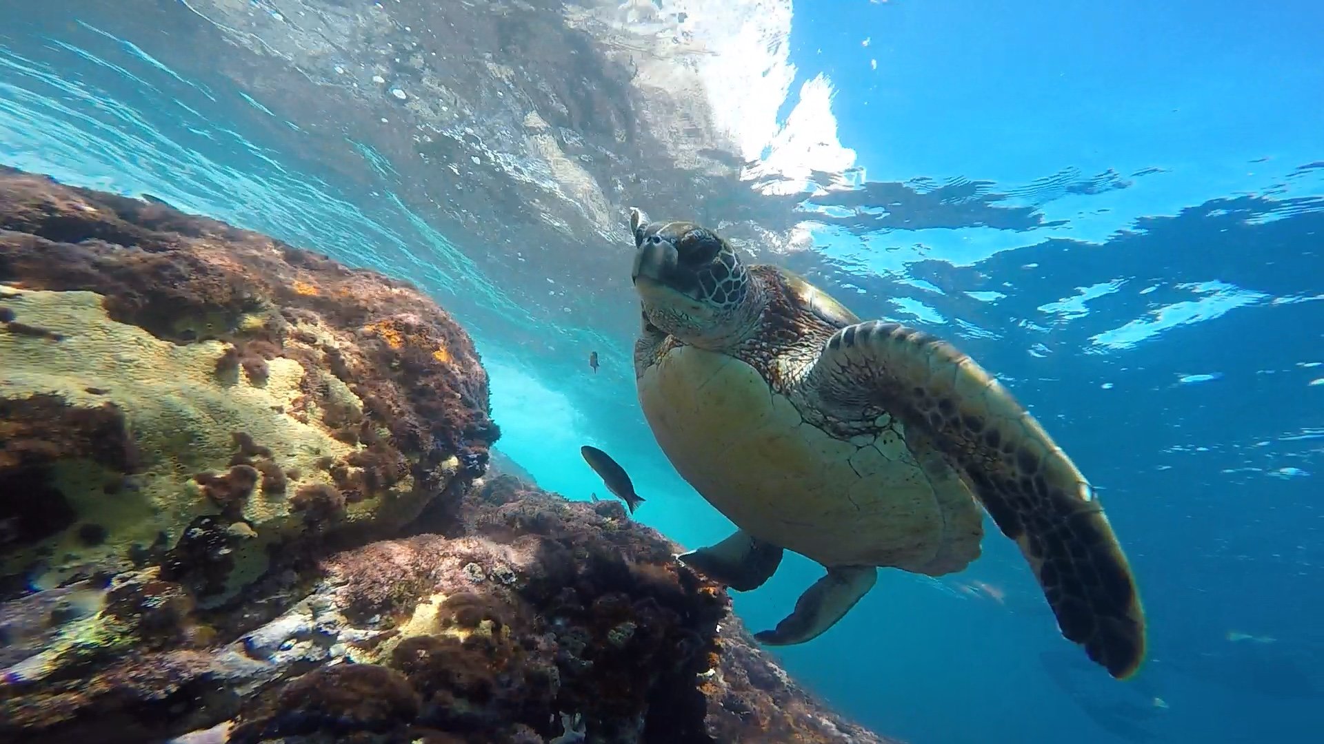 Galapagos Sharksky Travel & Conservation (San Cristobal) - Alles Wat U ...