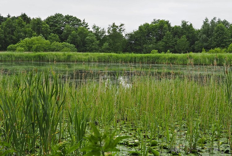 MESSINGHAM SAND QUARRY - All You Need to Know BEFORE You Go