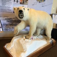 North American Game Warden Museum - All You Need to Know BEFORE You Go ...