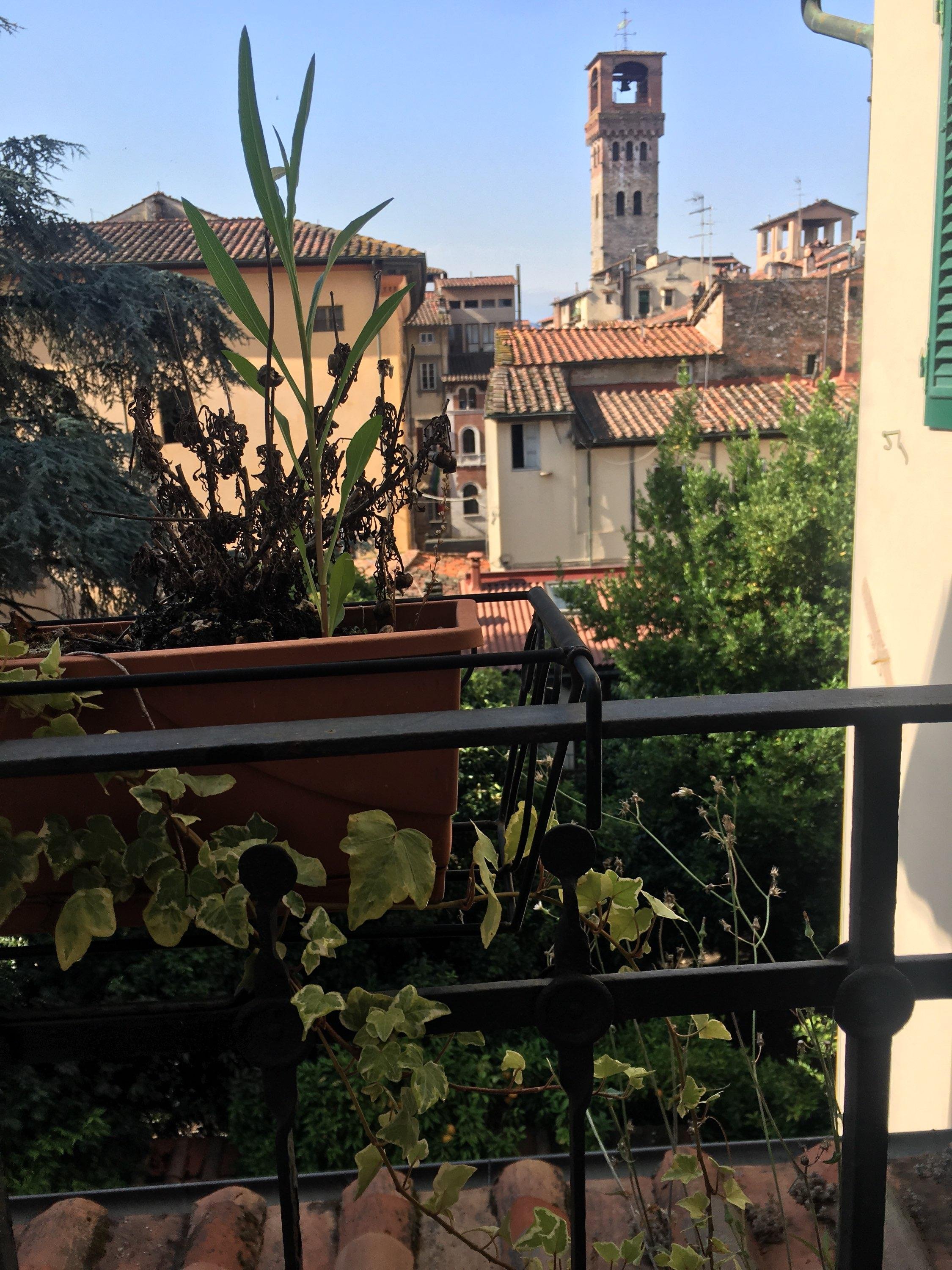 BED & BREAKFAST EVELINA - Prices & B&B Reviews (Lucca, Italy)