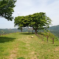 月山富田城築城以前から月山には山麓に里宮の勝日神社、山頂に奥宮の勝日高守神社がありました。