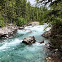 McDonald Creek (Glacier National Park) - All You Need to Know BEFORE You Go