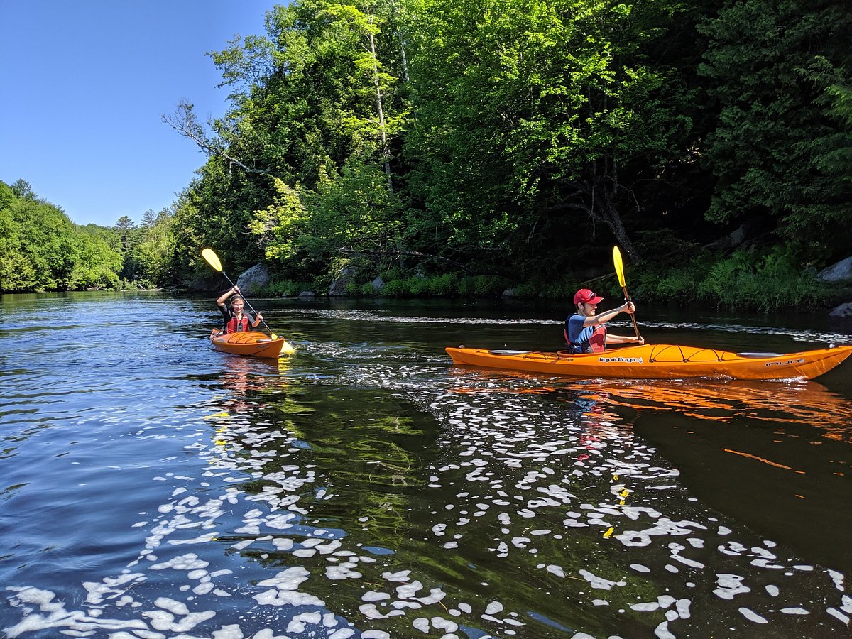 THE 15 BEST Things to Do in Bracebridge - 2022 (with Photos) - Tripadvisor