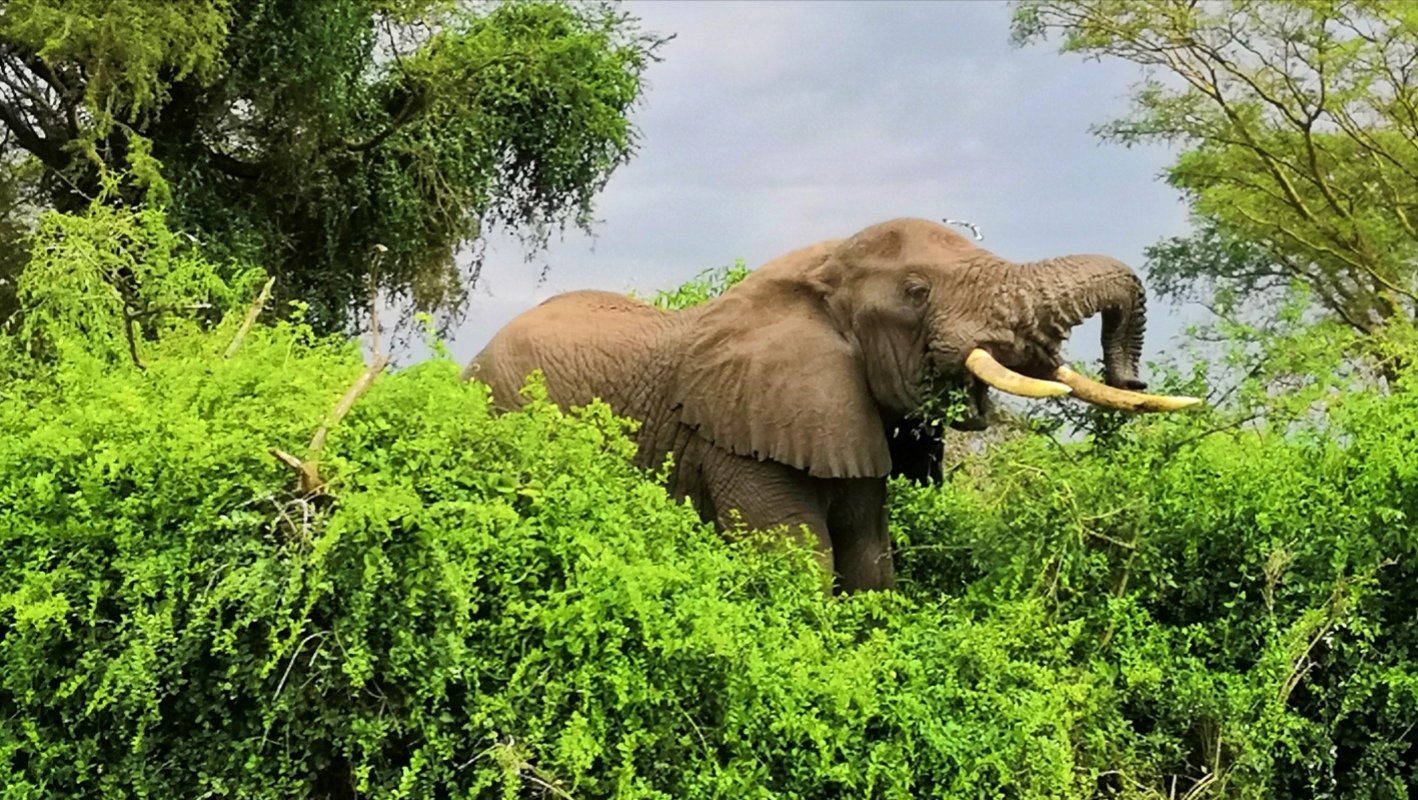 Xavier Safaris (Kampala) - 2022 Alles Wat U Moet Weten VOORDAT Je Gaat ...